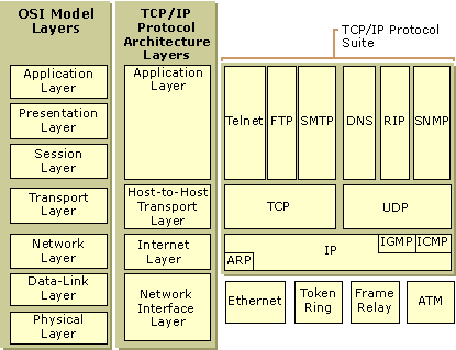 The main ideas about formal correspondence between TCP-IP layers and OSI